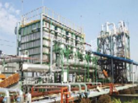 石油化工行业(废气浓缩RTO/CO)厦门双瑞船舶涂料有限公司