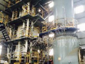 ɽ��ʥ�»�ѧ�ɷ����޹�˾��Һ������Ŀ